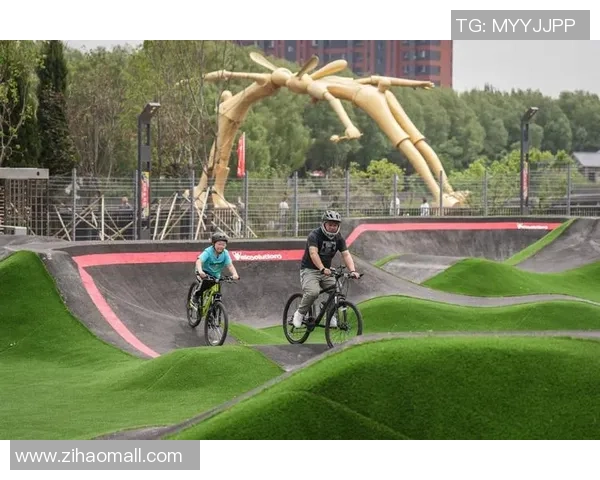 李强亲述极限运动的挑战与乐趣分享，带你领略极限运动的魅力与技巧