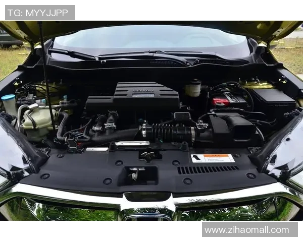 深圳足球队战术创新引领潮流助力球队崛起成为新标杆 深圳足球队战术创新引领潮流助力球队崛起成为新标杆