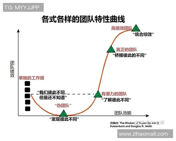 重庆排球队团队协作表现分析与提升策略探讨 重庆排球队团队协作表现分析与提升策略探讨